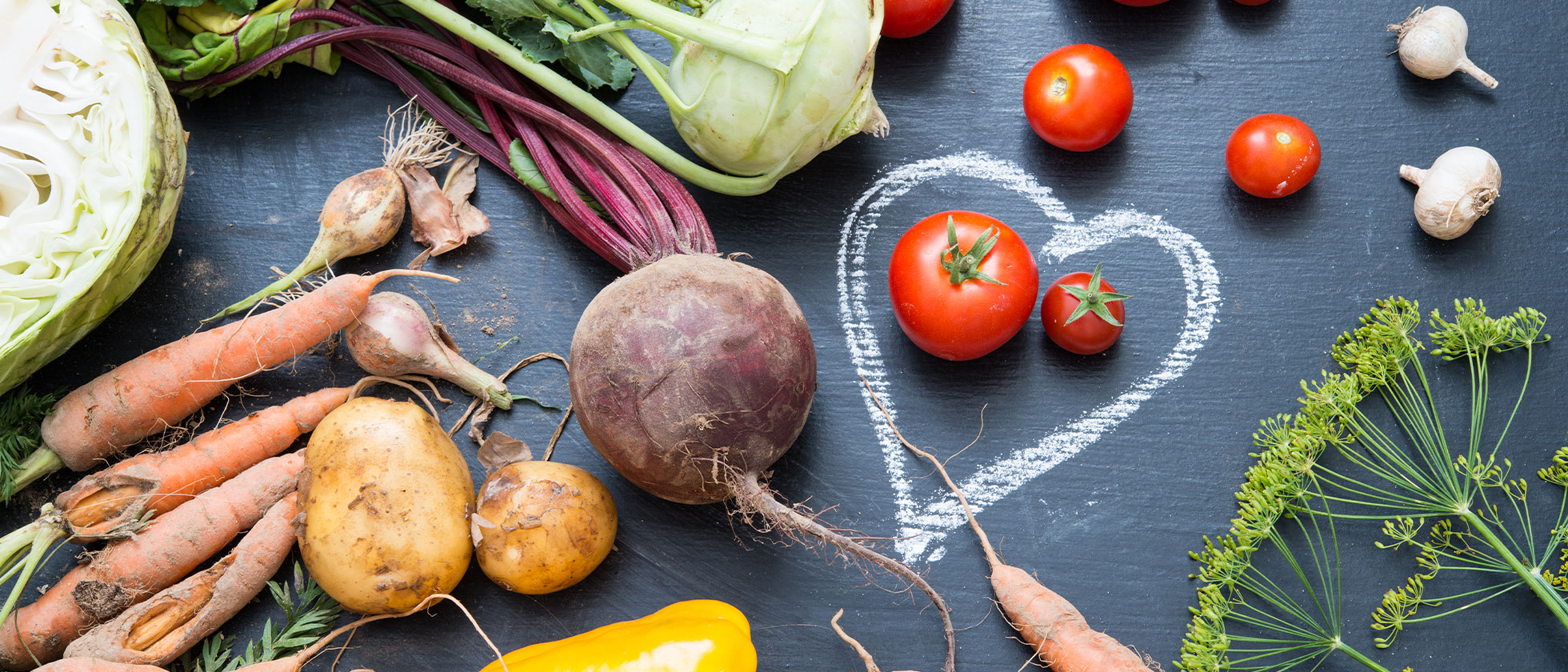 The Best Nutrition Coaching At Gym In Bel Marin Keys, CA
